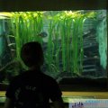 pic005866