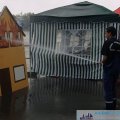 pic018946