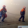 pic026691
