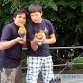pic025272