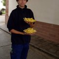 pic028353